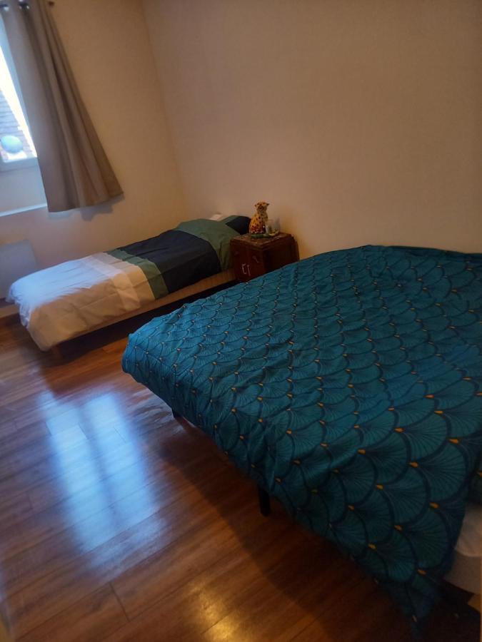 Logement Entier Spacieux Et Confortable A 1 H De Paris Courtenay  Exteriér fotografie